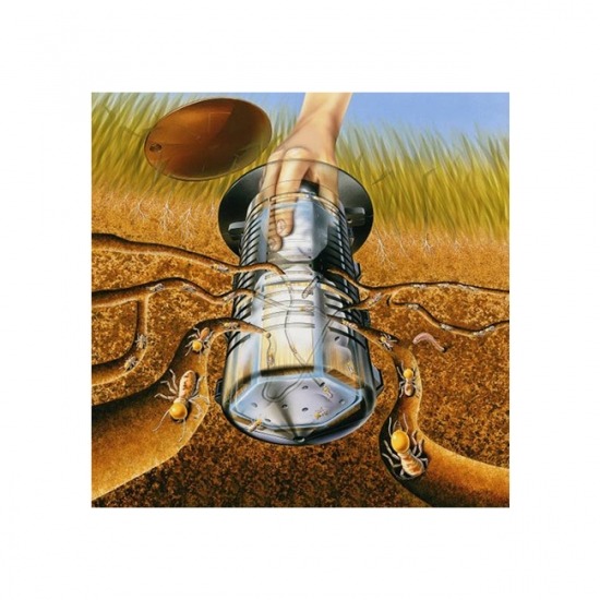 บริษัทกำจัดปลวก มด แมลงสาบราคาถูก ชลบุรี วิธีกำจัดปลวกพัทยา ชลบุรี  ฉีดปลวก ชลบุรี  บริษัทกำจัดปลวก ชลบุรี  รับกำจัดปลวกโรงงาน  แนะนำบริษัทกำจัดปลวก ระยอง 