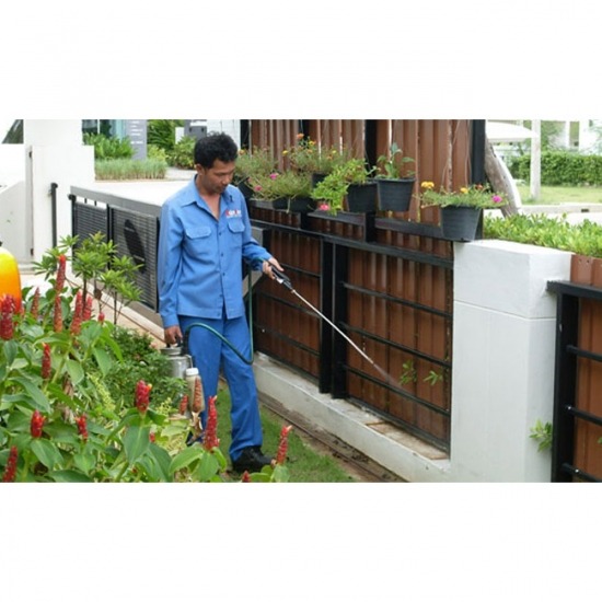 บริษัทฉีดปลวกพัทยา ชลบุรี บริษัทฉีดปลวกพัทยา  บริษัทกำจัดปลวก ชลบุรี  แก้ปัญหาปลวกบ้านไม้  กำจัดปลวกขึ้นบ้าน  แนะนำวิธีกำจัดปลวก  กำจัดปลวก ชลบุรี 