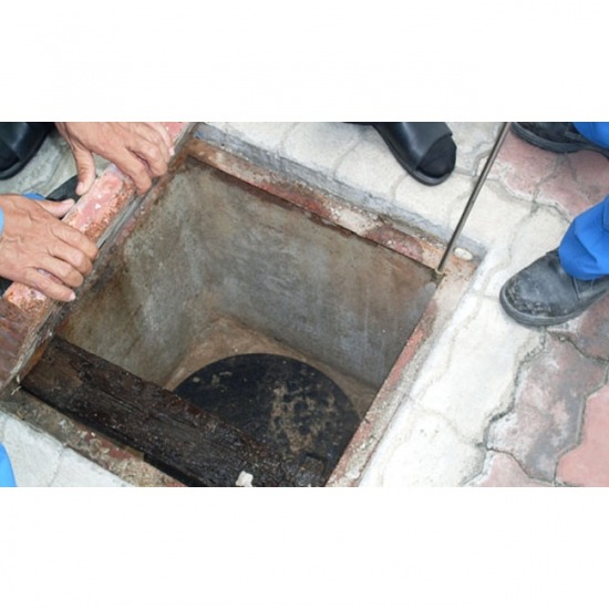 บริษัทกำจัดปลวกชลบุรี เมเจอร์ ไมเนอร์ - บริษัทวางท่อกําจัดปลวก พัทยา